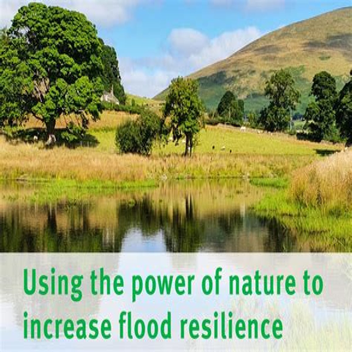 40 projects to benefit from £25 million funding for natural flood management