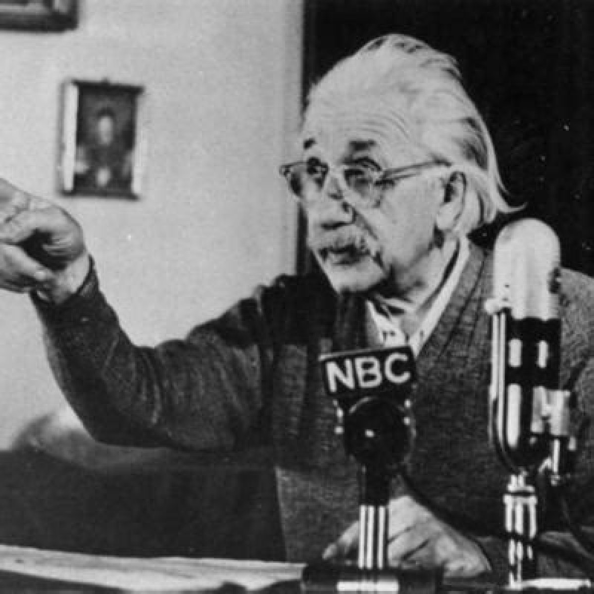 Albert Einstein Net Worth | Celebrity Net Worth
