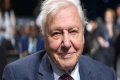 David Attenborough Net Worth, Age, Height, Bio, Birthday, Wiki!