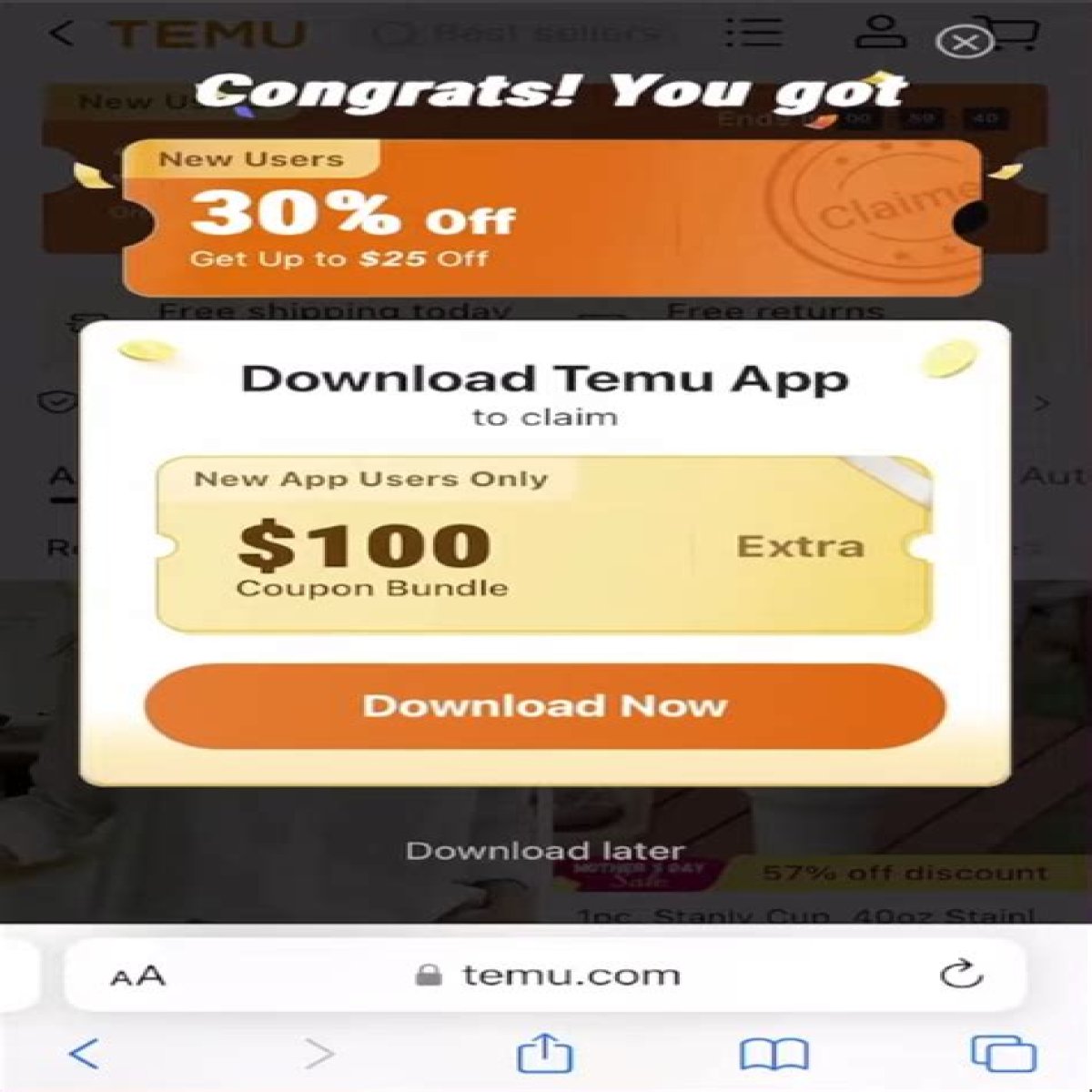 Exploring the "tinyurl com temu glitch"