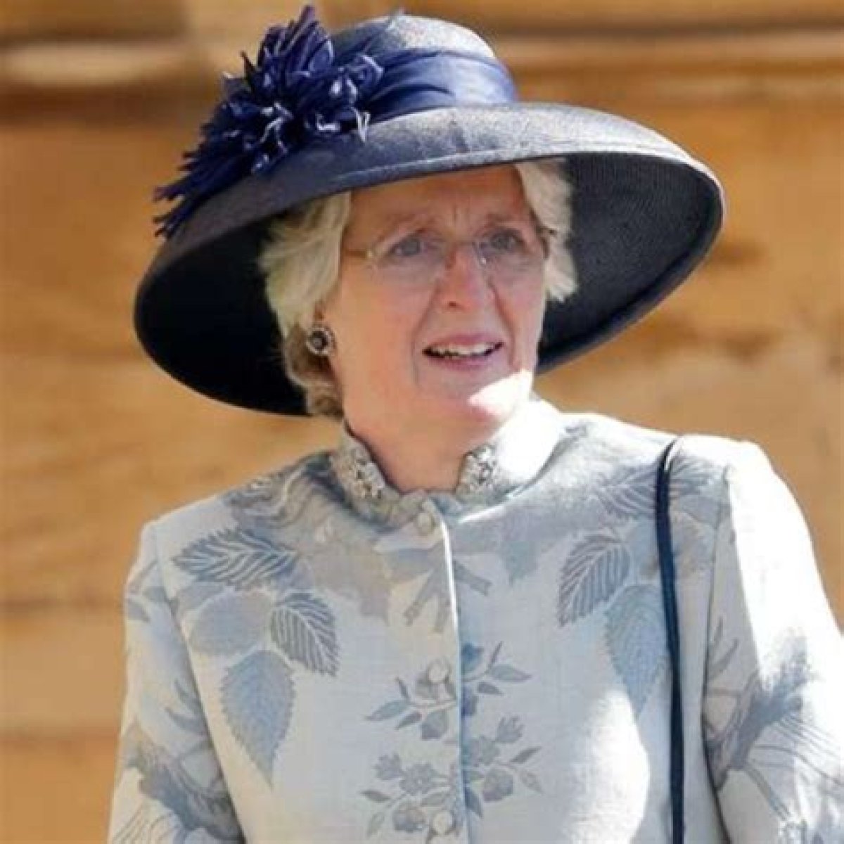 Jane Fellowes, Baroness Fellowes
