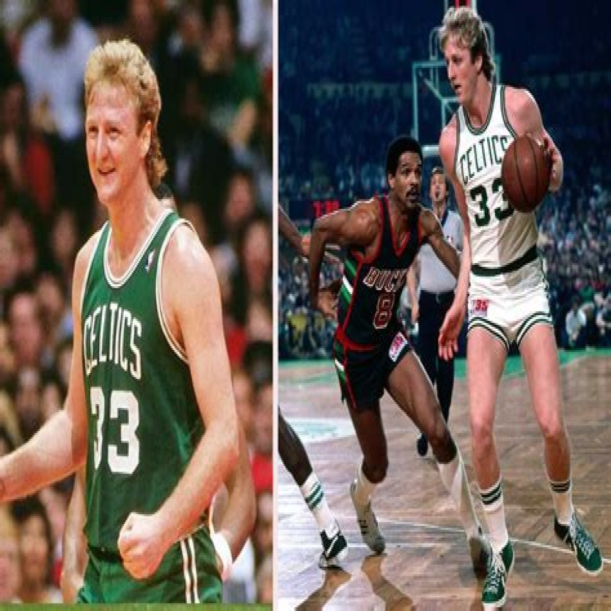 Larry Bird | Bio, Age, Net Worth, Relationship, Career