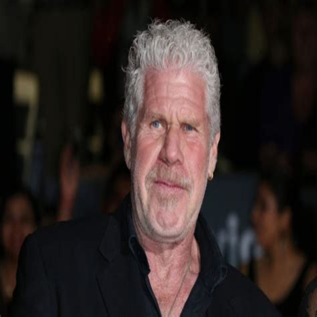 Ron Perlman Net Worth