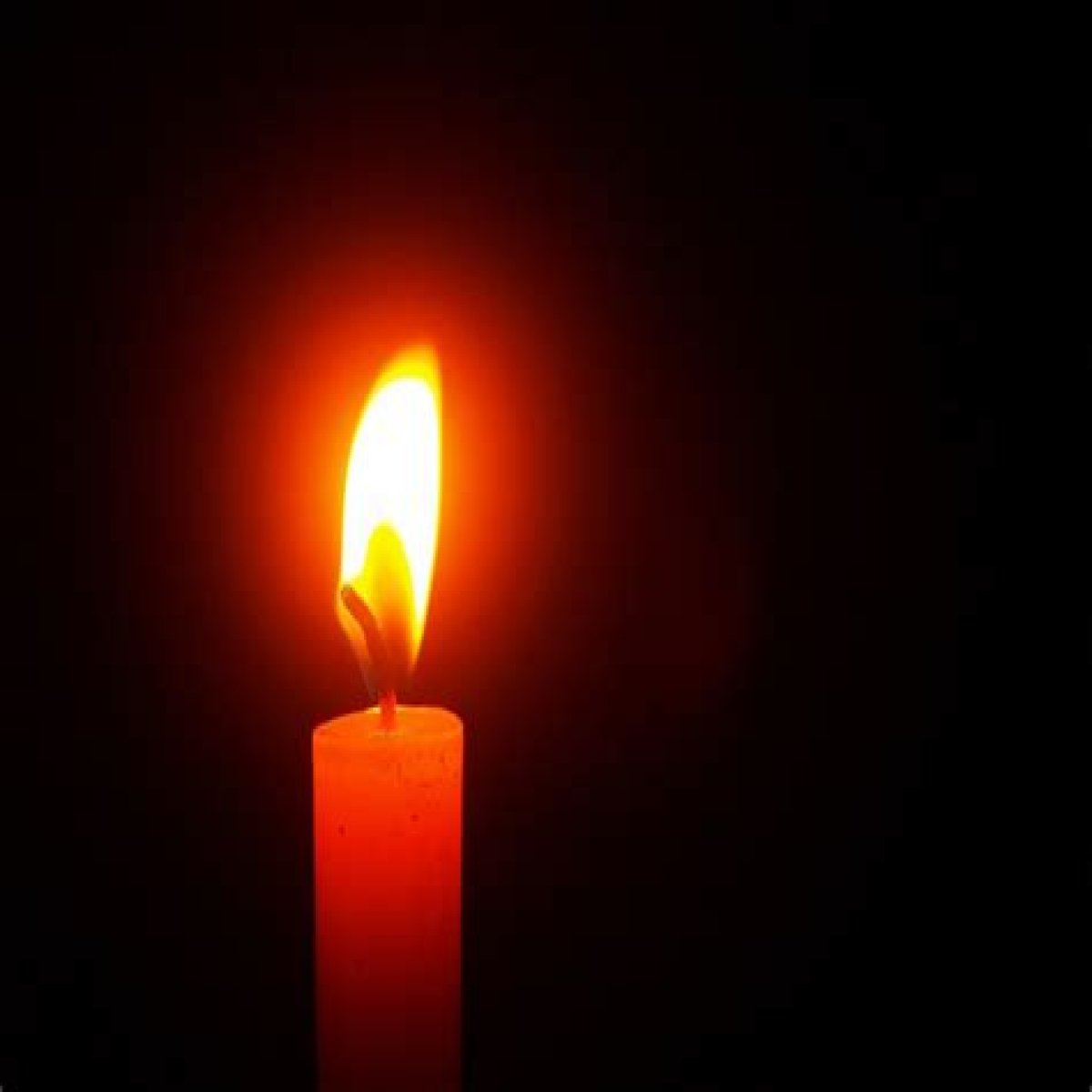 Tennessee Dan Blalock Death And Obituary: Family Mourns