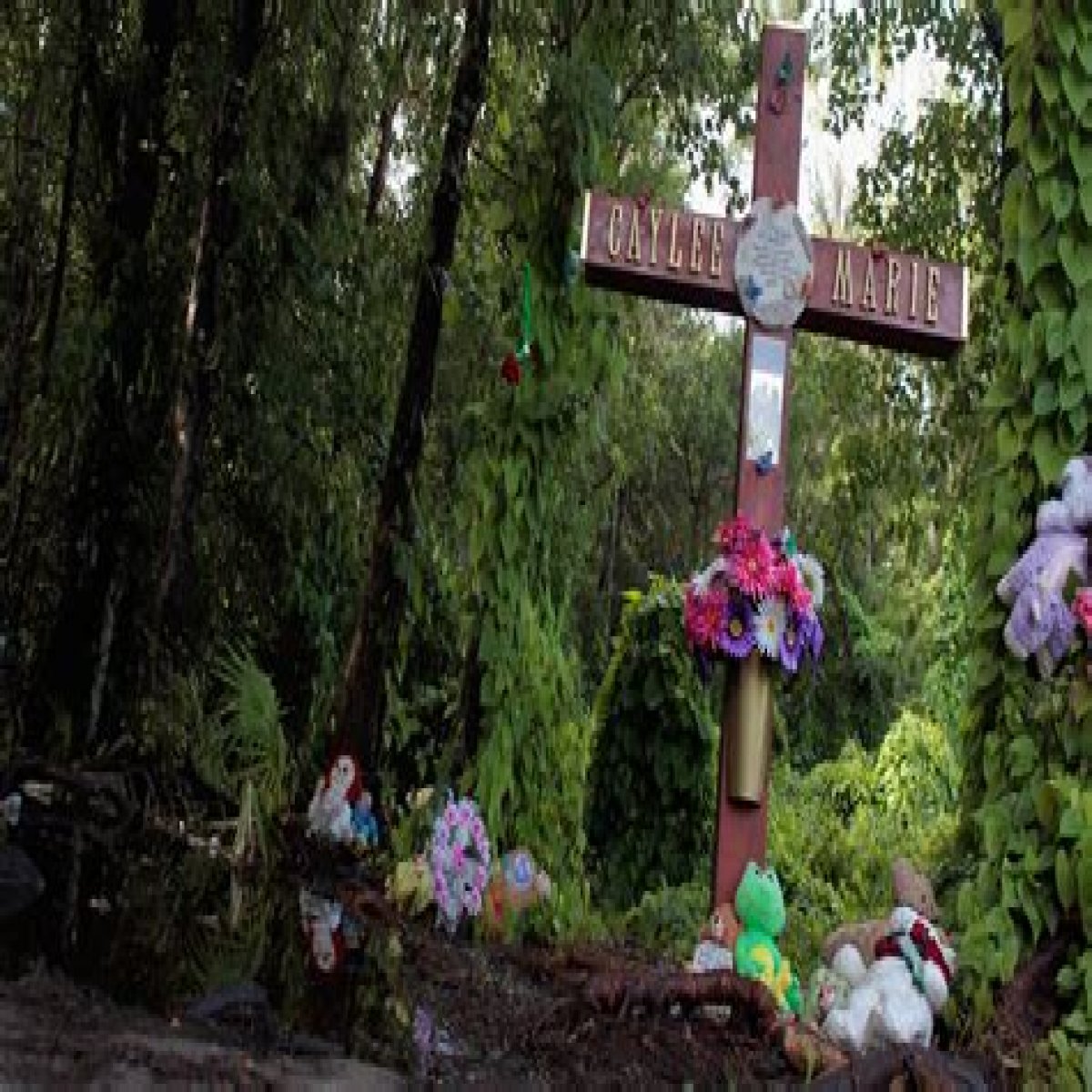 Unveiling The Tragic Details In Caylee Anthony's Autopsy