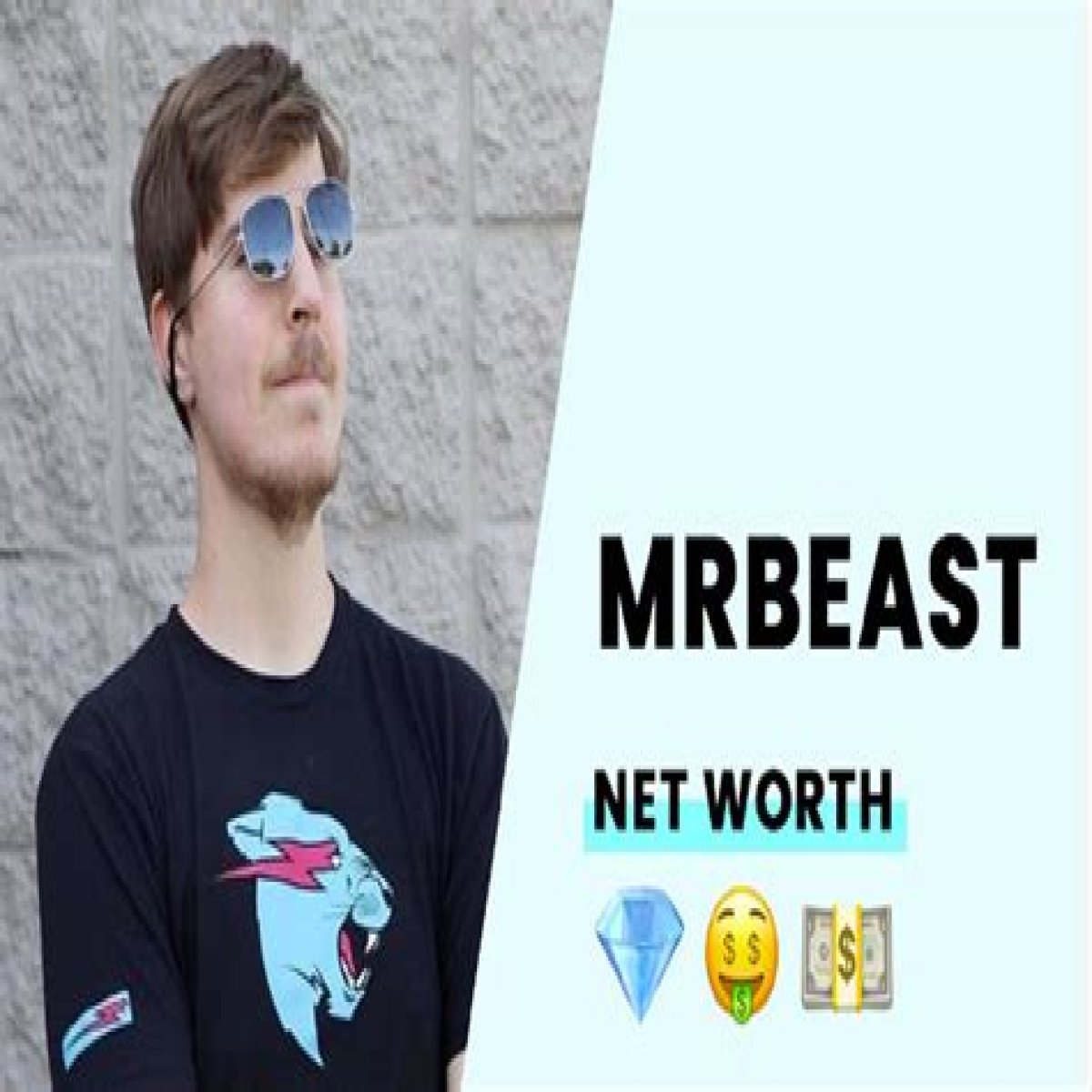 What is Mr. Beast’s net worth?
