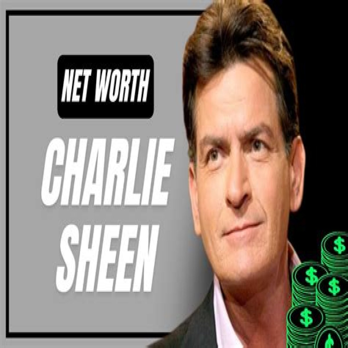 What's Charlie Sheen's Net Worth Fortune?